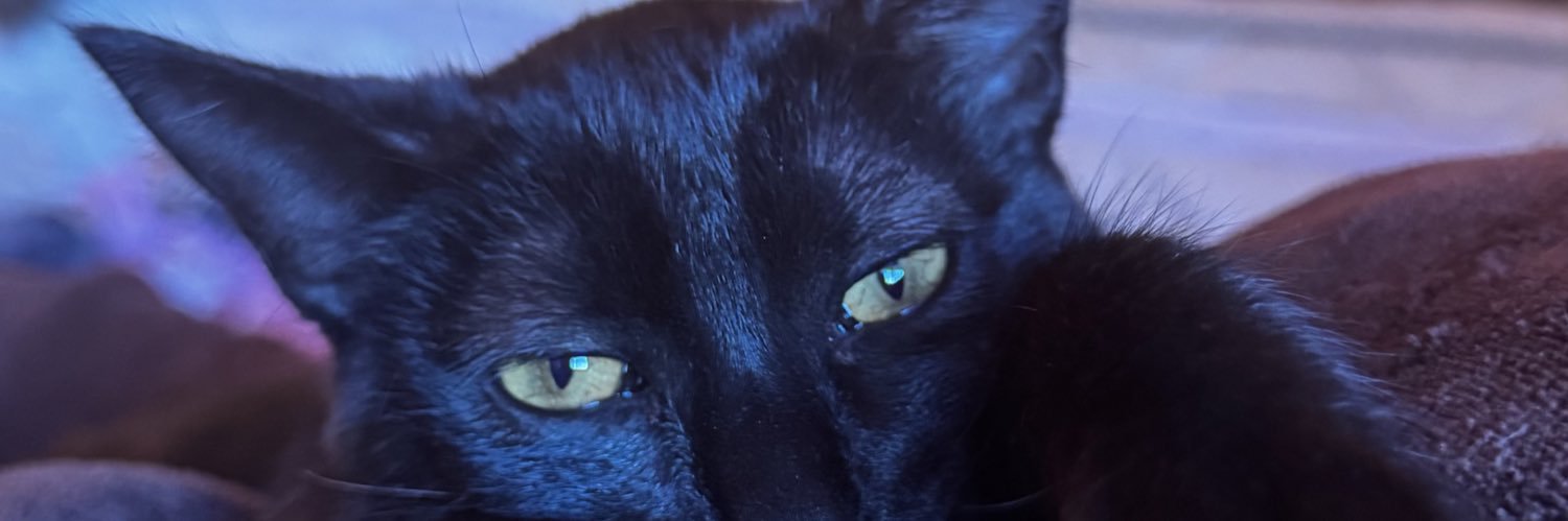Vanilla 🍦 banner