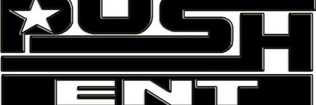 PushEntMusic15's profile banner image