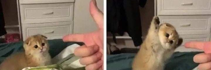 almost_pixie's profile banner image