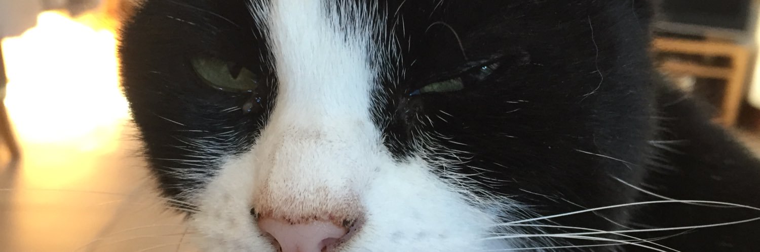 coleyboy's profile banner image