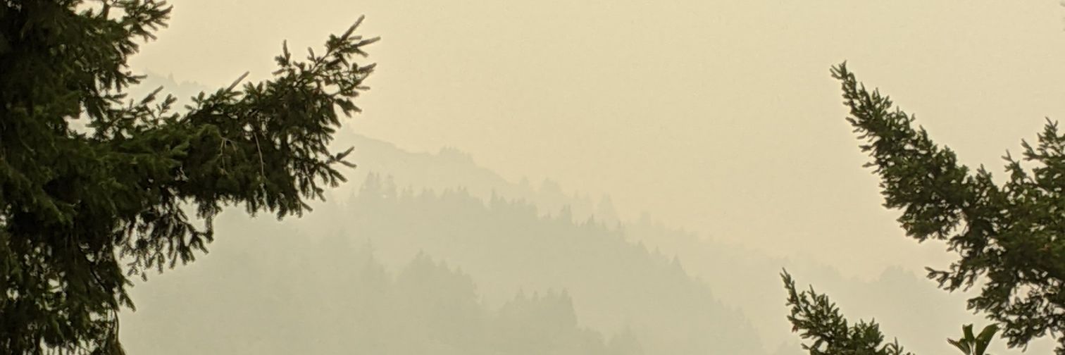 Brendan Kayes banner