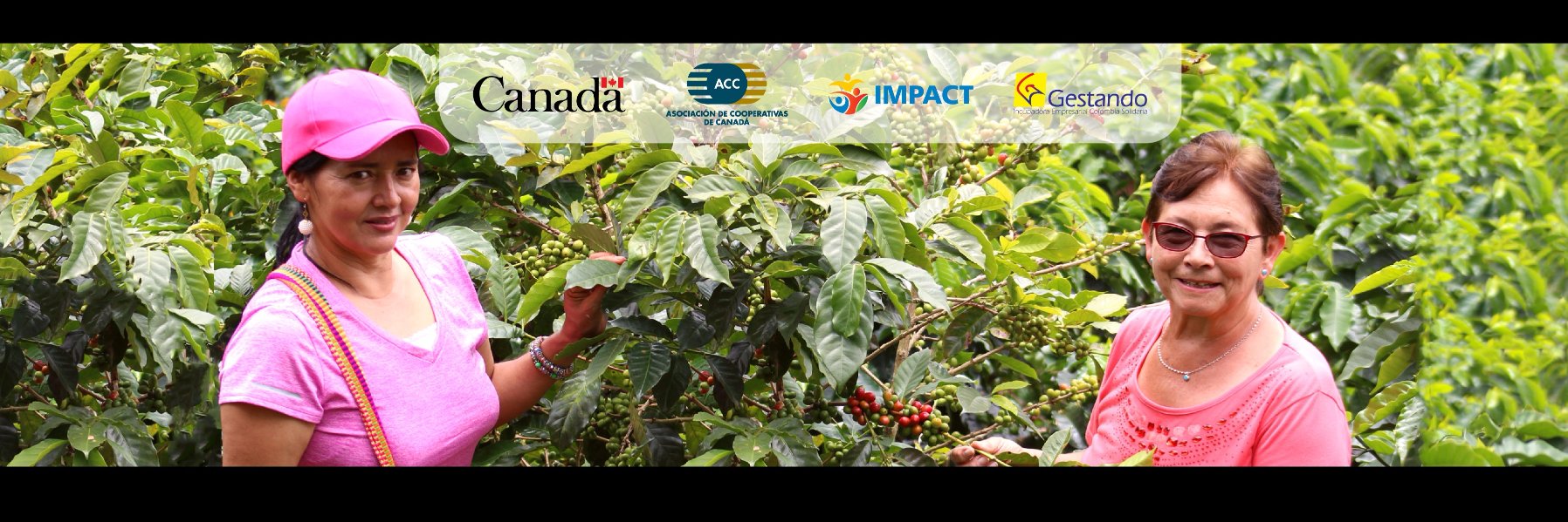 proyectoimpact's profile banner image