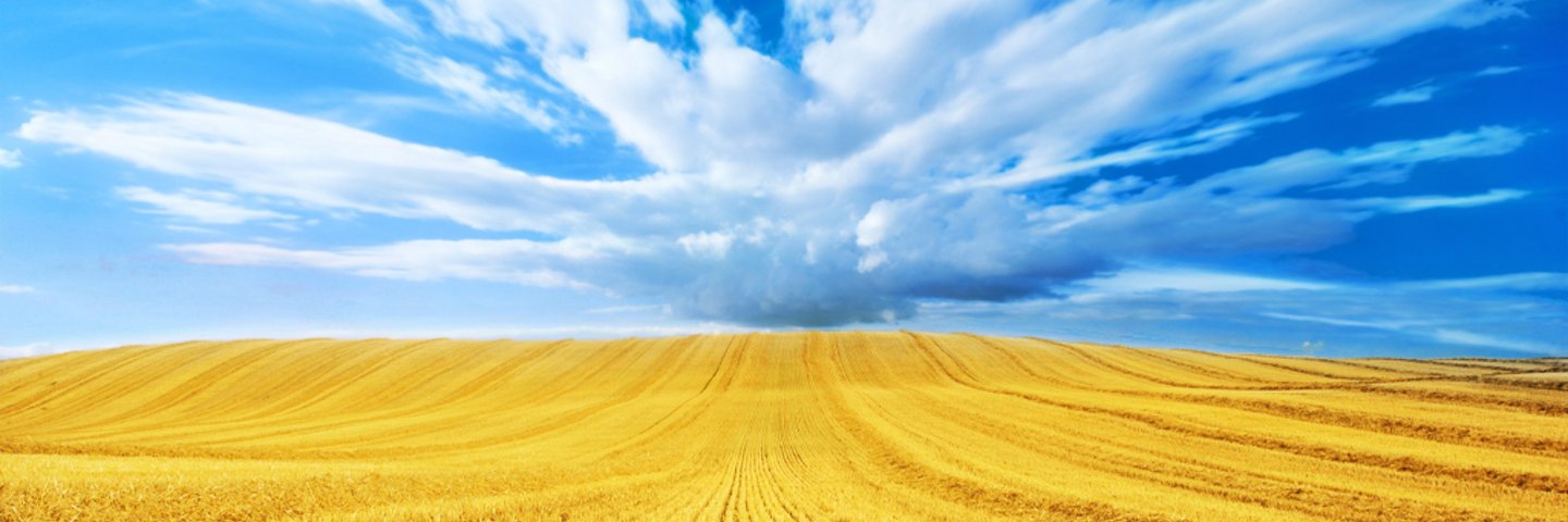 EscobarMargie's profile banner image