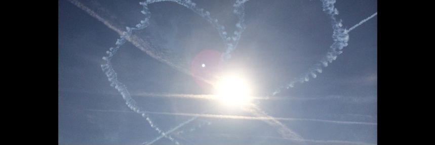 たかゆき🦁【キューアグファミリー】 banner