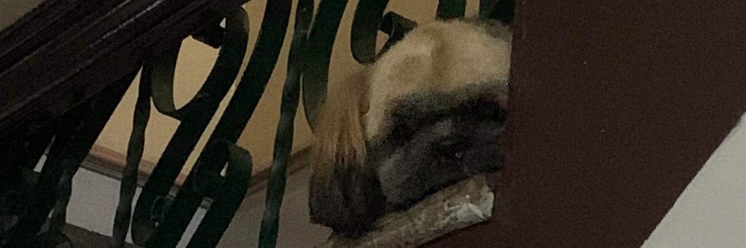 Jdelcrz's profile banner image