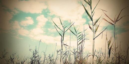 andaridwi's profile banner image