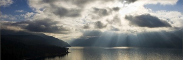 Ben_de_Wit's profile banner image