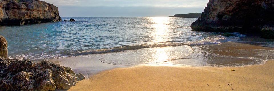 OTMonopoli's profile banner image
