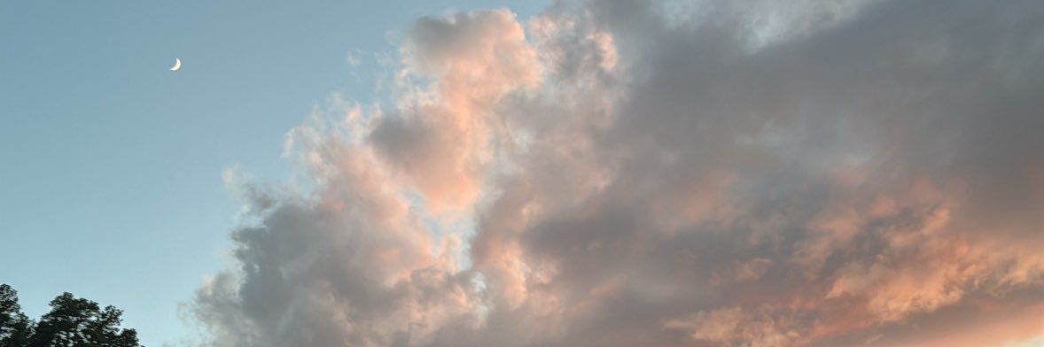AftonMaxner's profile banner image