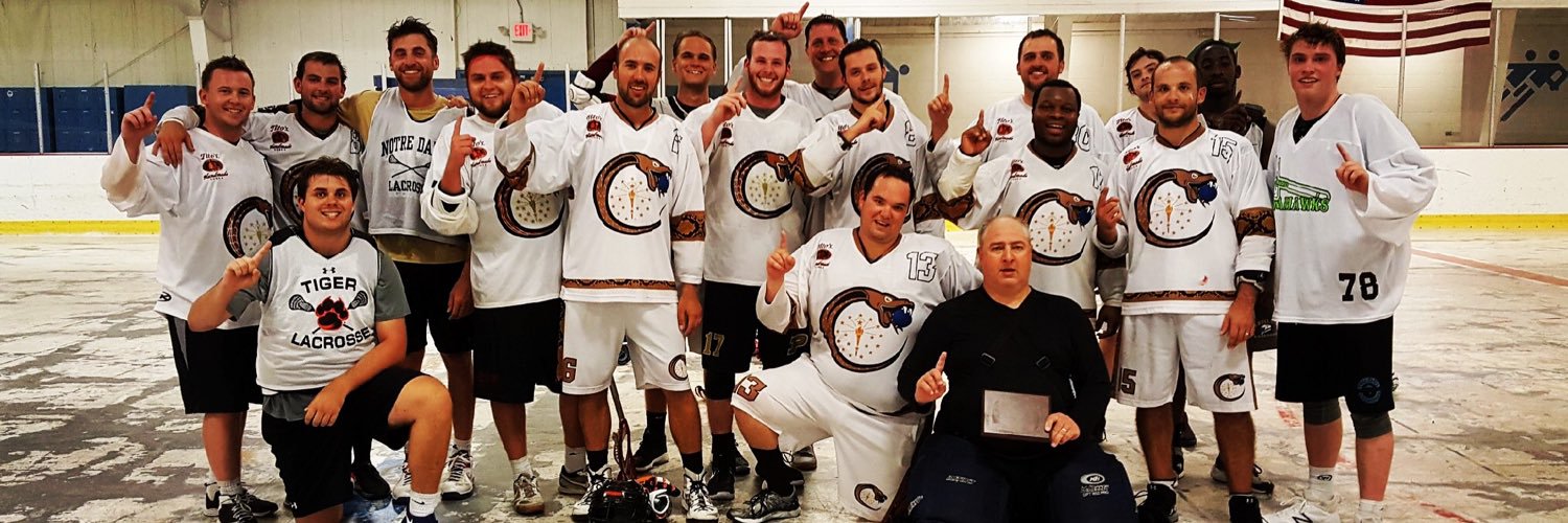 CC_Copperheads's profile banner image