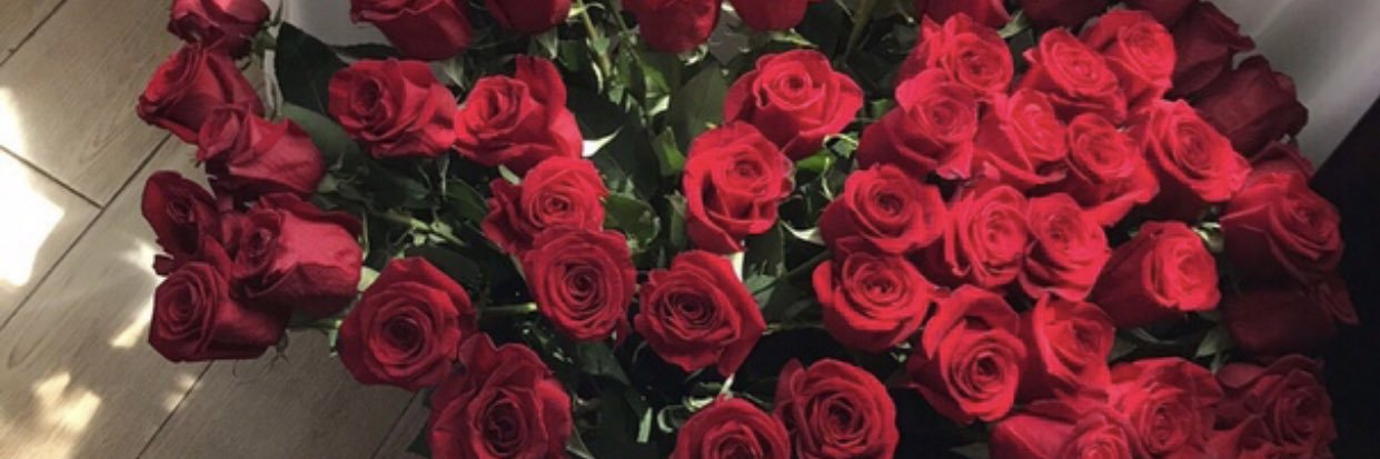 mimozza66's profile banner image