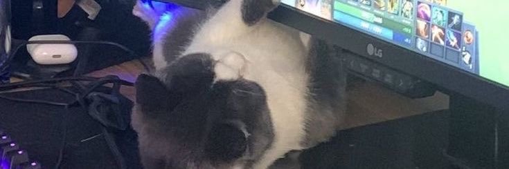 emmygms's profile banner image