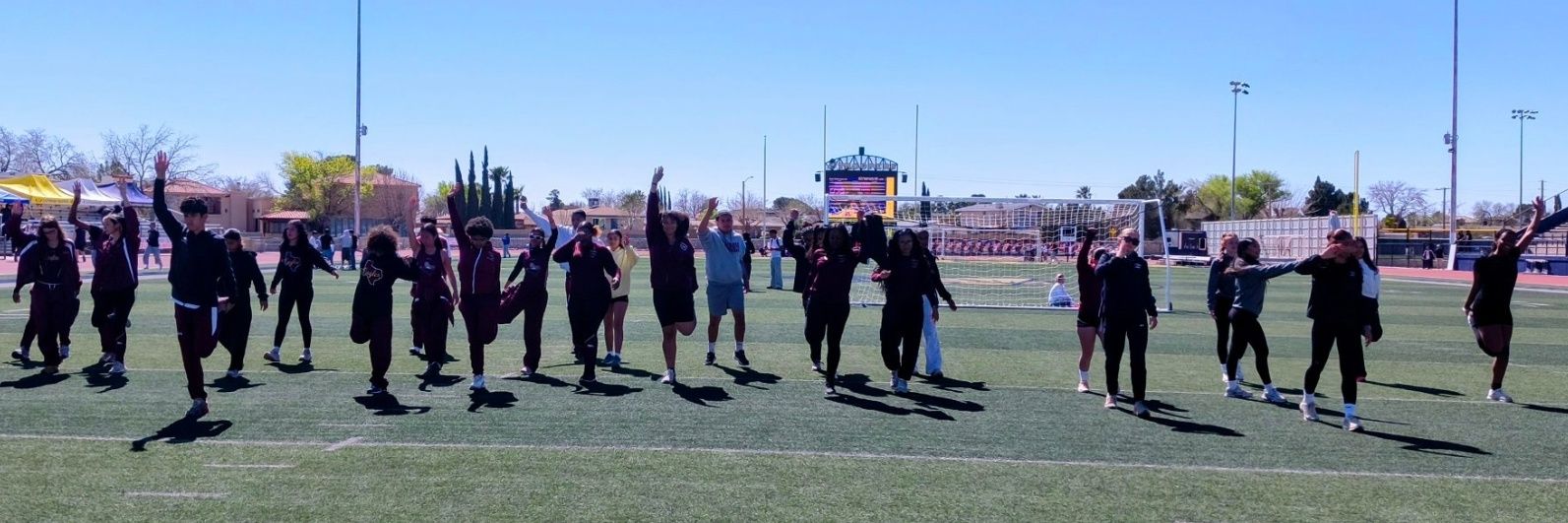 Rolaura De Anda banner