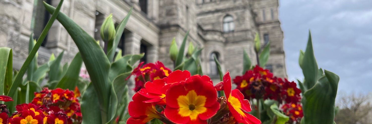 Jason Goertzen banner