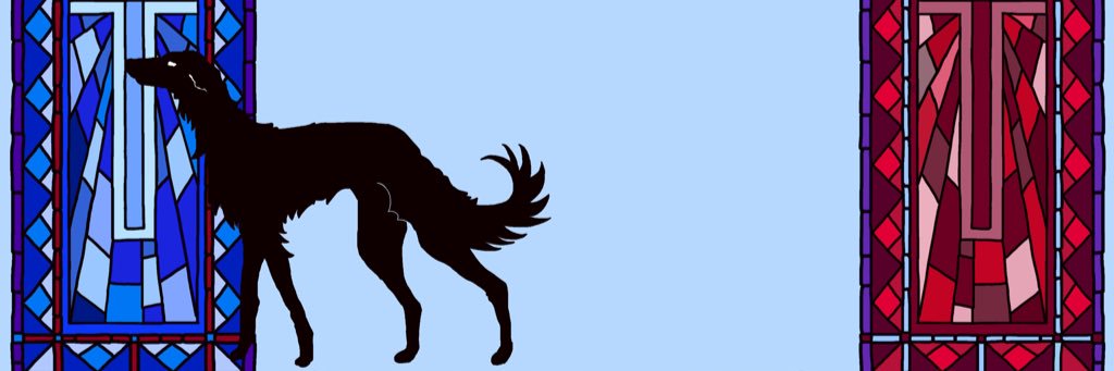 Layla_NCNL's profile banner image