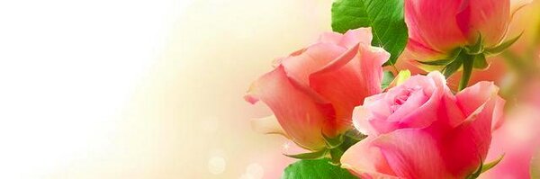 istillah Profile Banner