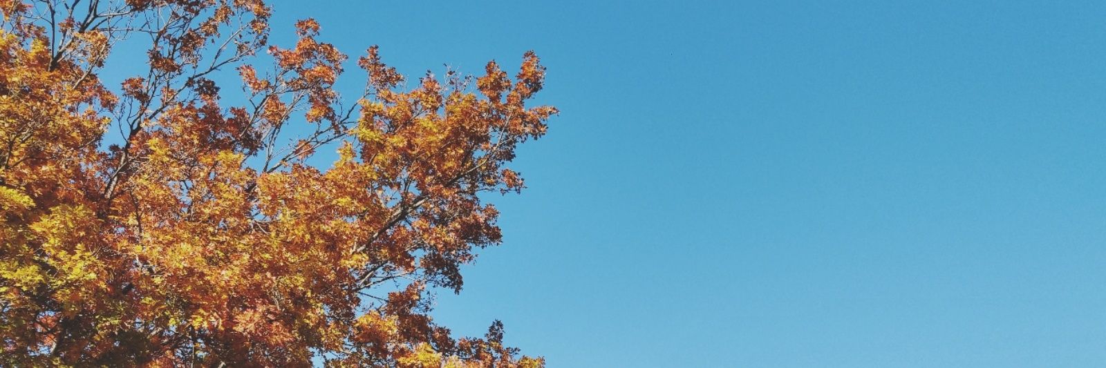luishdzrm's profile banner image