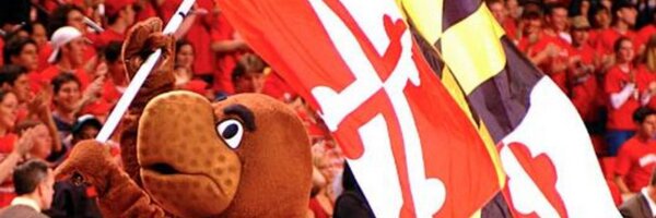 samzwerling Profile Banner