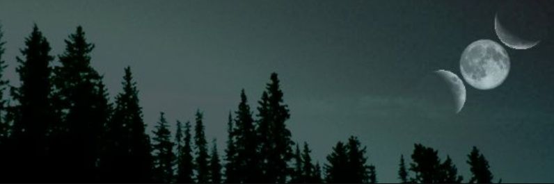 _BrunetteBroad_'s profile banner image