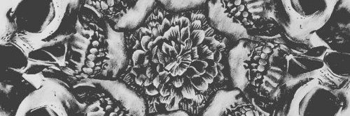 scorpitay's profile banner image