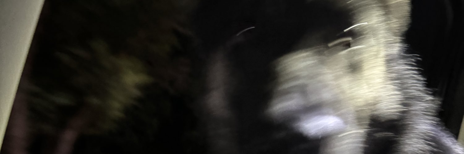 BdeBetoo's profile banner image