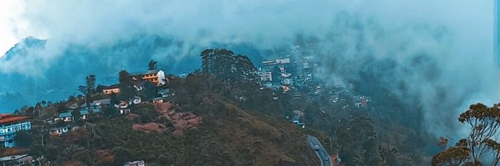 tannykoo's profile banner image