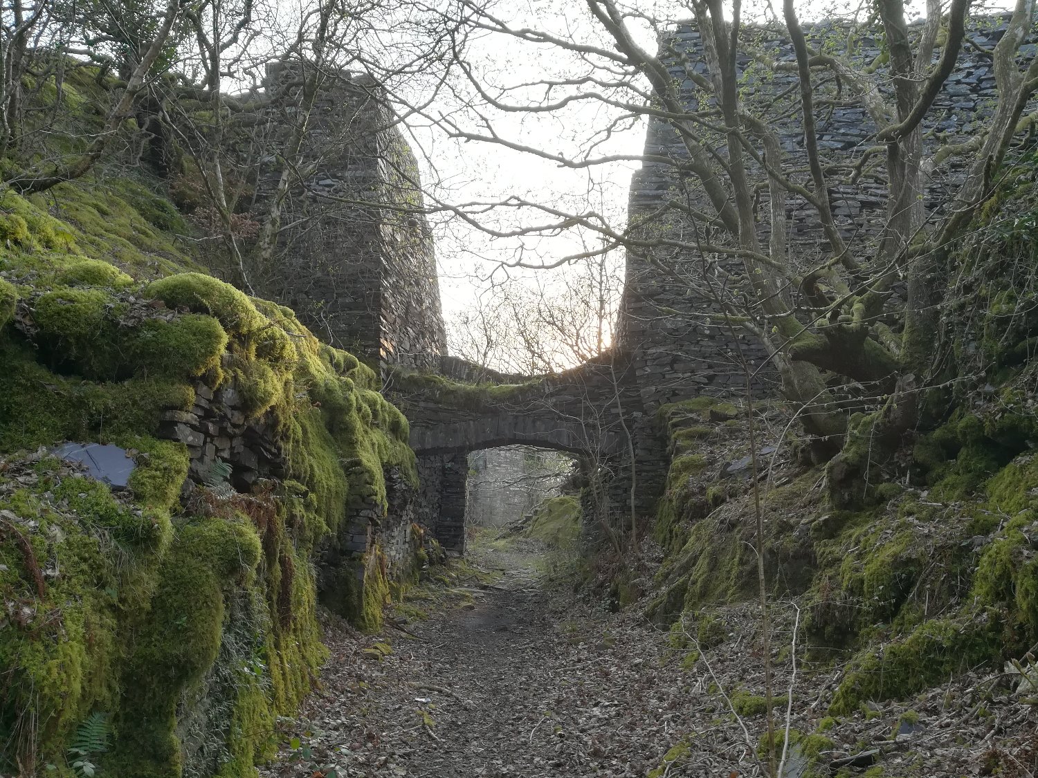 Gareth Jones 🏴󠁧󠁢󠁷󠁬󠁳󠁿 banner