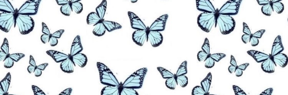 lauren michelle banner