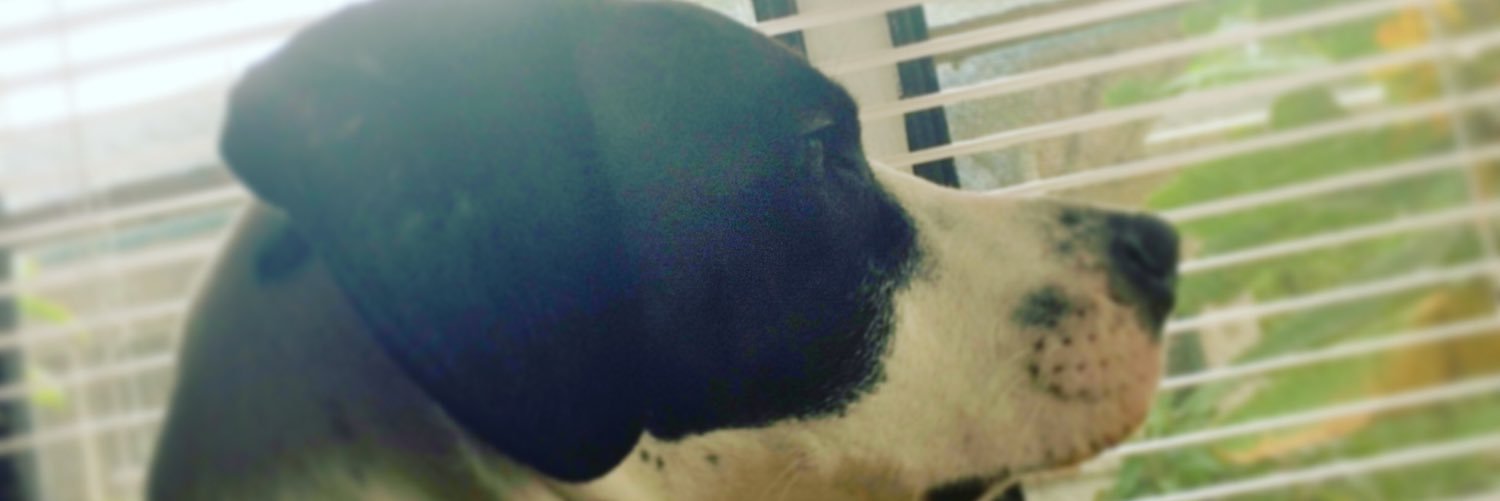 leBubberson's profile banner image