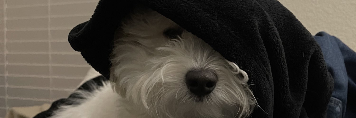 FinnRican's profile banner image