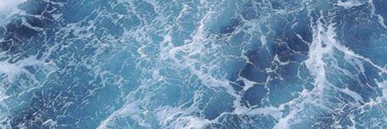 BaileyWood22's profile banner image