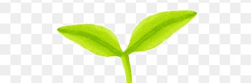 NaserAnjum's profile banner image