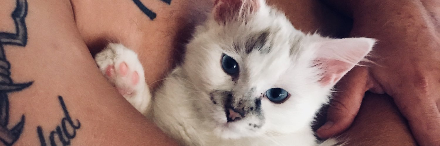 tooXbrutal's profile banner image