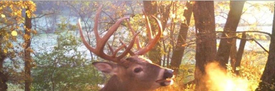 backwoods_pa's profile banner image