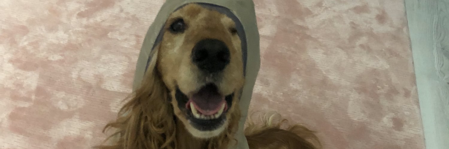 melekrmhmtoglu's profile banner image