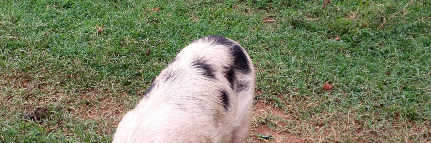 JKondeng's profile banner image
