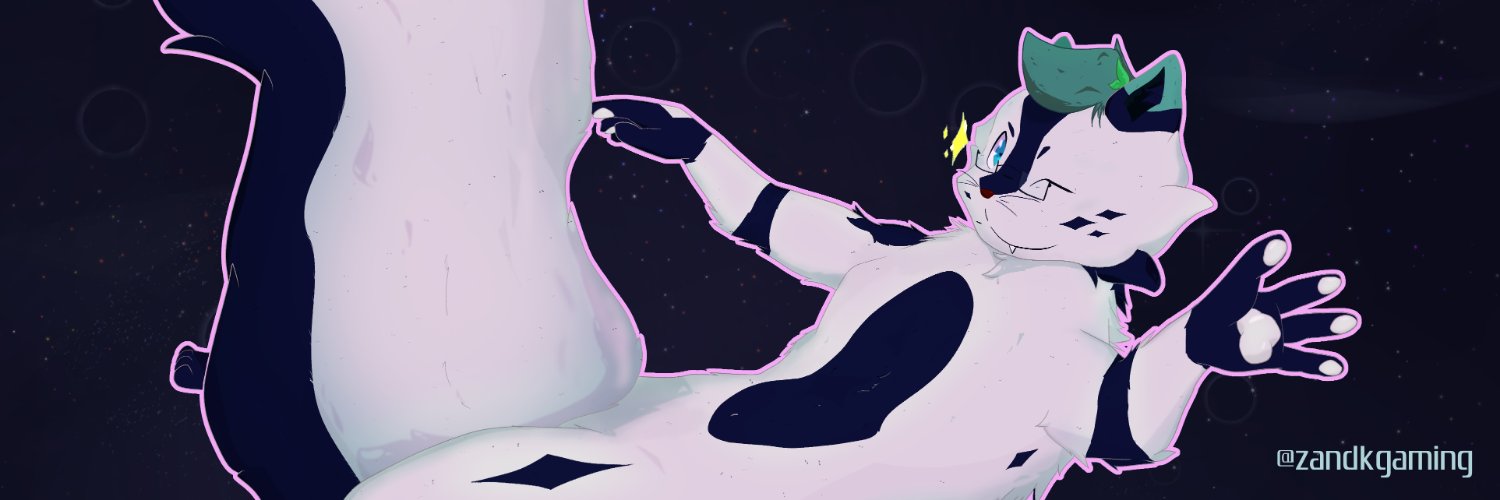 ZK banner