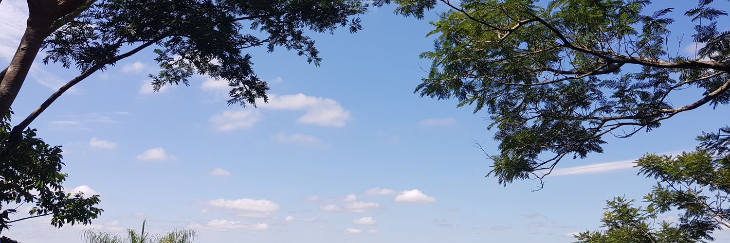 lolincha11's profile banner image