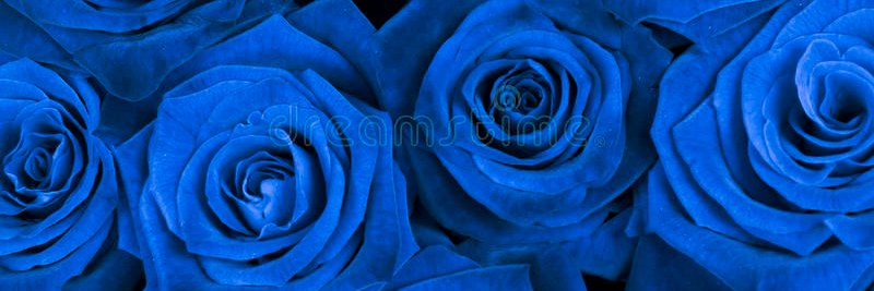 erikitha_thais's profile banner image