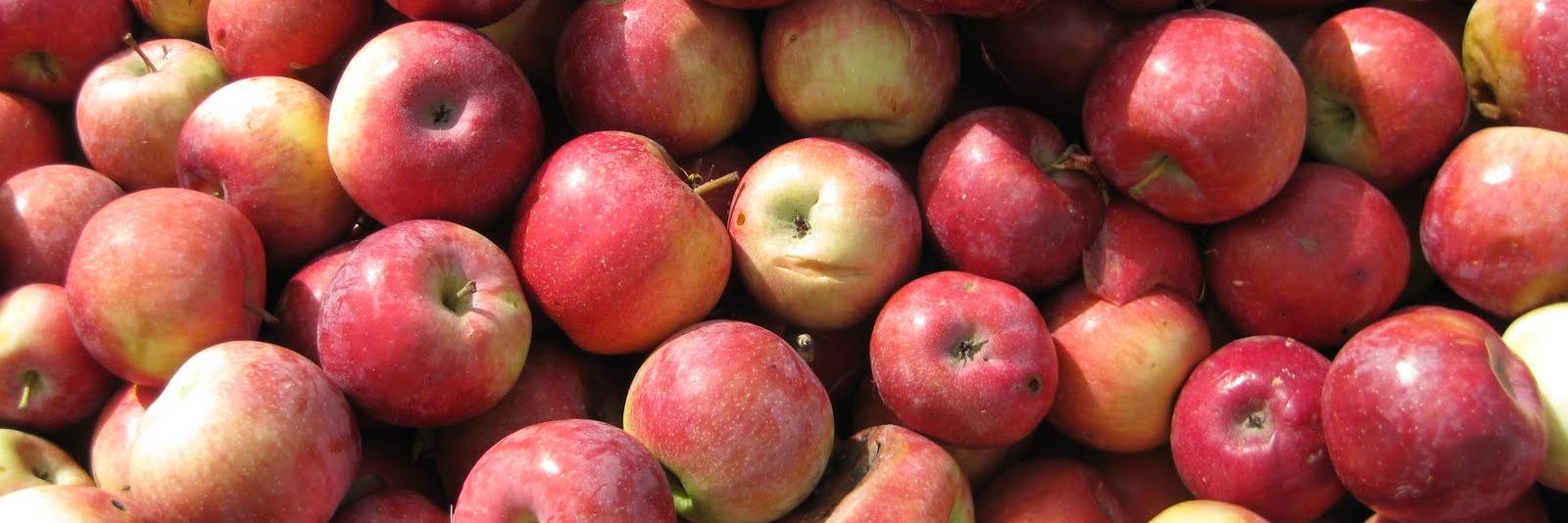 Platform Cider Bar banner