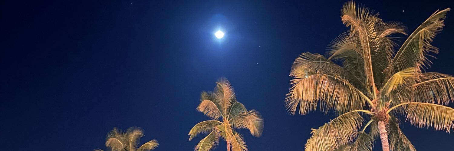 kyzilla's profile banner image