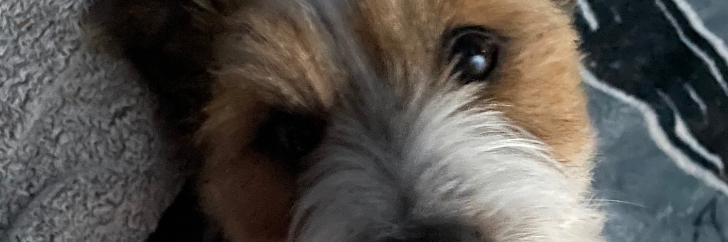 Amberh098's profile banner image