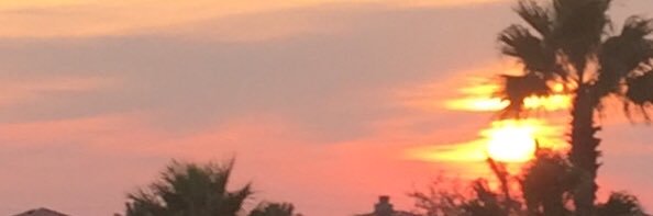 Jeanne F. Allegra banner