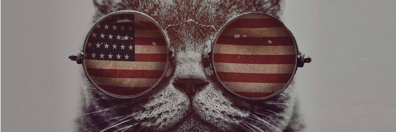 CatDearS's profile banner image