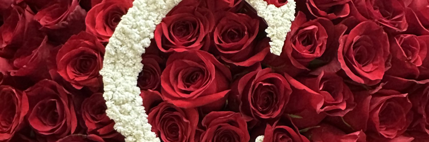 xsss57's profile banner image