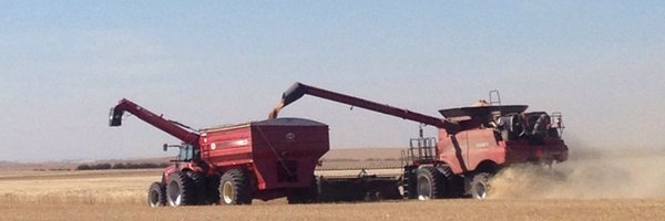 blooms9 Profile Banner