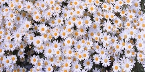 Glorimarjtb_'s profile banner image