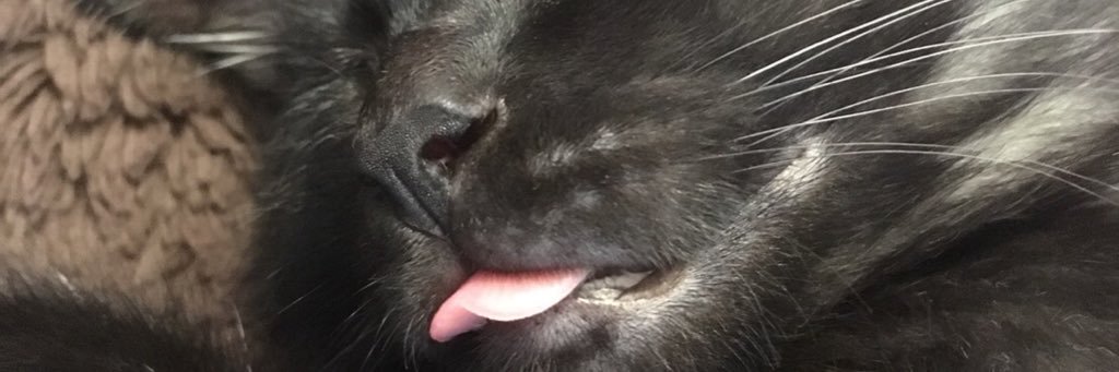 pnphmyu's profile banner image