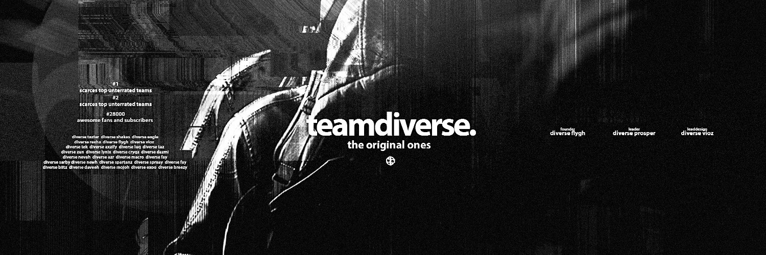 TheTeamDiverse's profile banner image