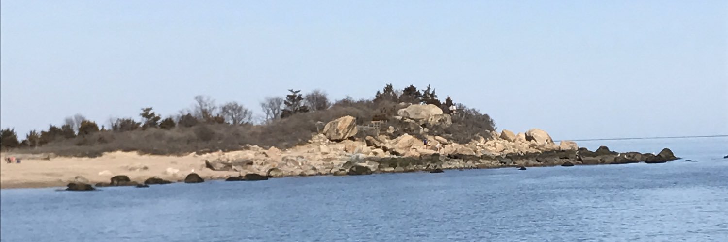 NYBurd525's profile banner image